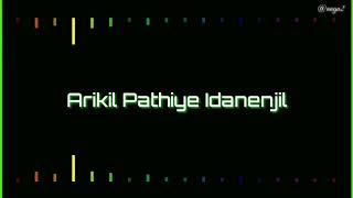 Arikil pathiye idanenjil  Lyrics Video  Pilimbee [upl. by Dominga657]