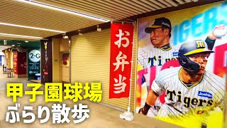 オフシーズンの甲子園球場を歩く  2023年11月 [upl. by Assilana]