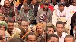 Halefom Beranto  Ambesa bereka ሓለፎም ወዲ ባራንቶ  ኣምበሳ በረኻ ዘይዳነ  ካብ ሓራ መሬት ትግራይ tigrigna raya music1 [upl. by Justis]