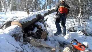 ATV Cutting wood in winter Part 23 [upl. by Yemerej188]