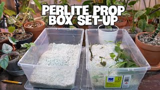 HOW TO SETUP AND MAINTAIN A PERLITE PROP BOX  My Favorite Rooting Method [upl. by Melisent592]