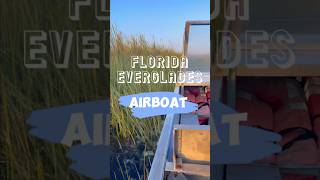 Best AIRBOAT RIDE POV 🐊 Florida Everglades National Park USA  Watch till the end for a surprise [upl. by Bach]