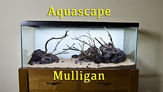 A New Aquascape 75gallon [upl. by Dierolf]