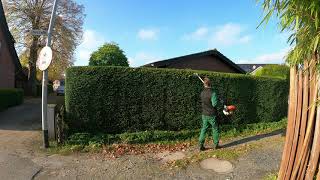 Kustorez Trimming a Yew hedge part 2 [upl. by Inod564]