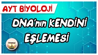 AYT Biyoloji  DNAnın Kendini Eşlemesi  Replikasyon sayfa136 [upl. by Phenice]