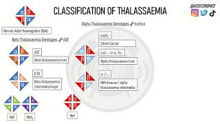 80 SECONDS on CLASSIFYING THALASSAEMIA [upl. by Nwahsit]