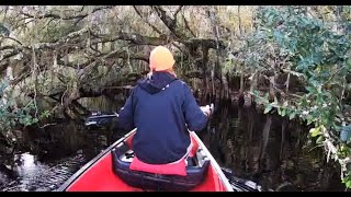 Canoeing the Withlacoochee River to Ancient Florida Indian Mounds Part One [upl. by Wanyen886]