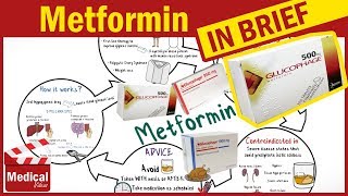 Metformin 500 mg  Glucophage  Uses Dosage Side Effects Contraindications and Some Advice [upl. by Brenza]