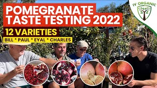 Pomegranate TASTE TESTING 2022  Wonderful Parfianka Utah Sweet Angel Red Desertnyi  MORE [upl. by Asihtal]