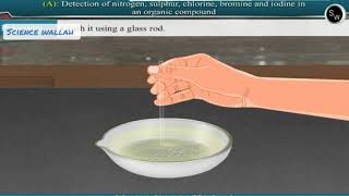 Detection of nitrogen sulphur chlorine bromine and iodine in an organic compound Class 11 Chemistry [upl. by Ynoep607]