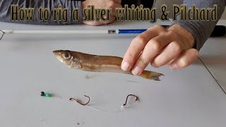 Perfect Bait Presentation  Snapper Rig  How to rig a pilchard [upl. by Borer169]