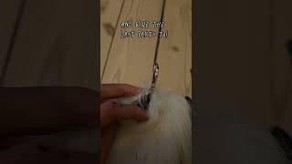 How to make a faux fur tail pt2 🌿🐾🌸 therian antizoo therianthropy [upl. by Rosner505]