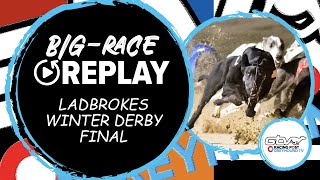 2023 Ladbrokes Winter Derby Final  Coolavanny Shado  Greyhound Race Replays  2023 Big Finals [upl. by Nonnahsal]