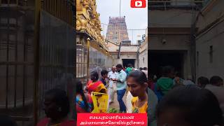 Samayapuram Mariammandarishanam mariyammankovil shortvideos [upl. by Poppy792]