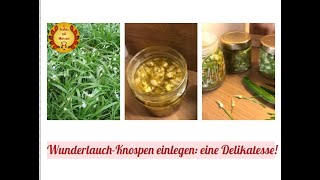 Eingelegte Wunderlauchknospen Eine Delikatesse [upl. by Aicilas754]