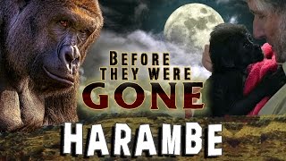 HARAMBE  Before They Were GONE [upl. by Minsat]