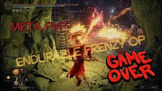 Endurable Frenzy Build OP Meta [upl. by Lowell]