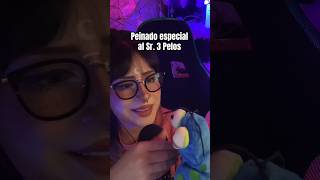 ASMR Peinado especial al Sr 3 Pelos relax asmr [upl. by Yunfei]