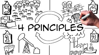 4 Principles to Win the Sustainability Game conditions of success [upl. by Omocaig]