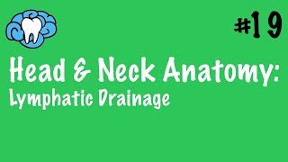 Head amp Neck Anatomy  Craniofacial Lymphatics  INBDE [upl. by Eanwahs]