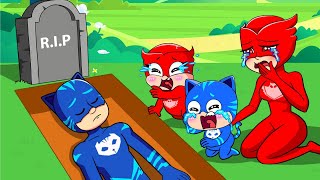 What Happened To Catboy   Catboys Life Story  PJ MASKS 2D Animation [upl. by Alol892]