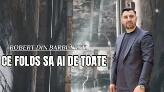 Robert din Barbulesti  Ce folos sa ai de toate [upl. by Tony547]