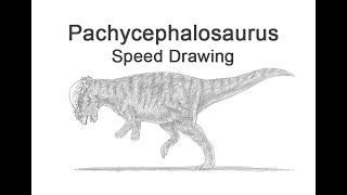 Pachycephalosaurus Timelapse  Speed Drawing [upl. by Einahpit]