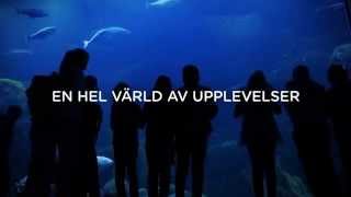 Välkommen till Universeum  här börjar äventyret [upl. by Ahsatal]