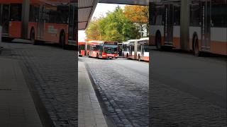 HVV🚍🚂🚖Hamburger Verkehrs Verbund U Bahn Billstedt U2 U4Busse [upl. by Tailor299]