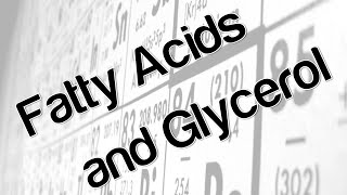 Fatty acids and glycerol [upl. by Niatsirk809]