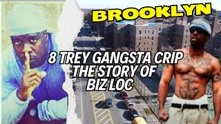 Brooklyn Gang War  The 8 Trey Gangster Crip quotBiz Locquot [upl. by Dan407]