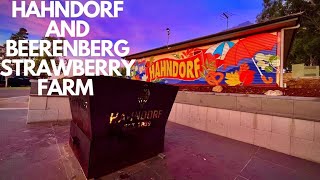 EPISODE 41 HAHNDORF  BEERENBERG STRAWBERRY FARM  DISCOVERY PARKS  AUTUMN [upl. by Odrahcir]