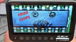 Fried Chips Anyone [upl. by Idoj]