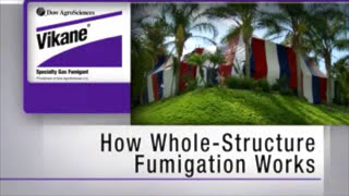 What To Expect During Termite Fumigation [upl. by Ellebyam]