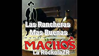 Banda Machos  Puras Rancheras [upl. by Whit]