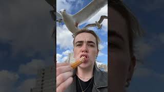 Group of Seagulls Attack Woman While She Tries Eating Churros on Beach  1498020 [upl. by Cully]