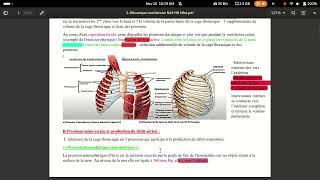 physiologie respiratoire mécanique ventilatoire [upl. by Lenoil]