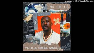 Mr Thela  Thula Moya Wami [upl. by Icats]