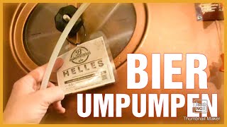 BOTTROPER BIER  Das fertige Bier wird in den Ausschanktank umgepumpt [upl. by Bick313]