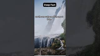 Deep facts shorts foryou deepfact fyp [upl. by Haelem475]