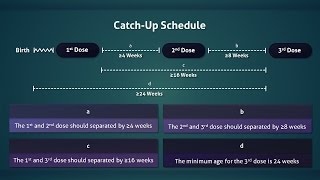 Hepatitis B Vaccine Routine and Catchup Schedule [upl. by Mordy753]