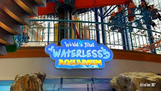 Worlds First Waterless Aquarium  Unique No Water Aquarium Attraction [upl. by Clapper]