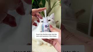 How to Clean Cats Ears With This Trick [upl. by Herbst]