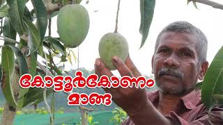 കോട്ടൂക്കോണം മാവുകള്‍ Mango  Kottukonam [upl. by Notlrahc]