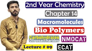 2nd Year Chemistry Chapter 14 Macromolecules Biopolymers Carbohydrates Oligosaccharides Lec 9 [upl. by Bullis]