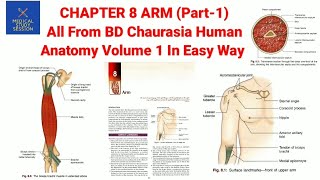 Chapter 8 ARM Part  1All From BD CHAURASIAS HUMAN ANATOMY VOL 1 [upl. by Ykcul]