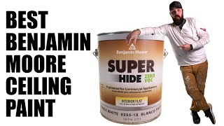 Benjamin Moore Super Hide  Pro Painter Review [upl. by Eltsyrk705]