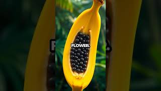 Bananas Are Berries The Shocking Truth About Fruits Revealed [upl. by Leaffar928]