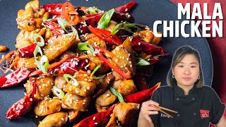 Spicy Smoky Sichuan Chicken [upl. by Krause]