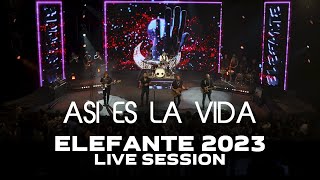 Asi es la Vida ELEFANTE 2023 Live Session [upl. by Gillmore]